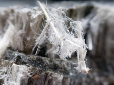 asbestos-chrysotile-fibers-2025-02-08-21-36-16-utc (1) asbestos-chrysotile-fibers-2025-02-08-21-36-16-utc (1)